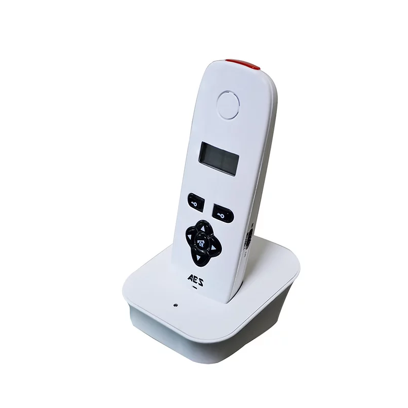 AES DECT 603-AB-EU AUDIO GATE INTERCOM KIT | AES