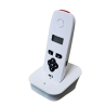 AES DECT 603-AB-EU AUDIO GATE INTERCOM KIT | AES