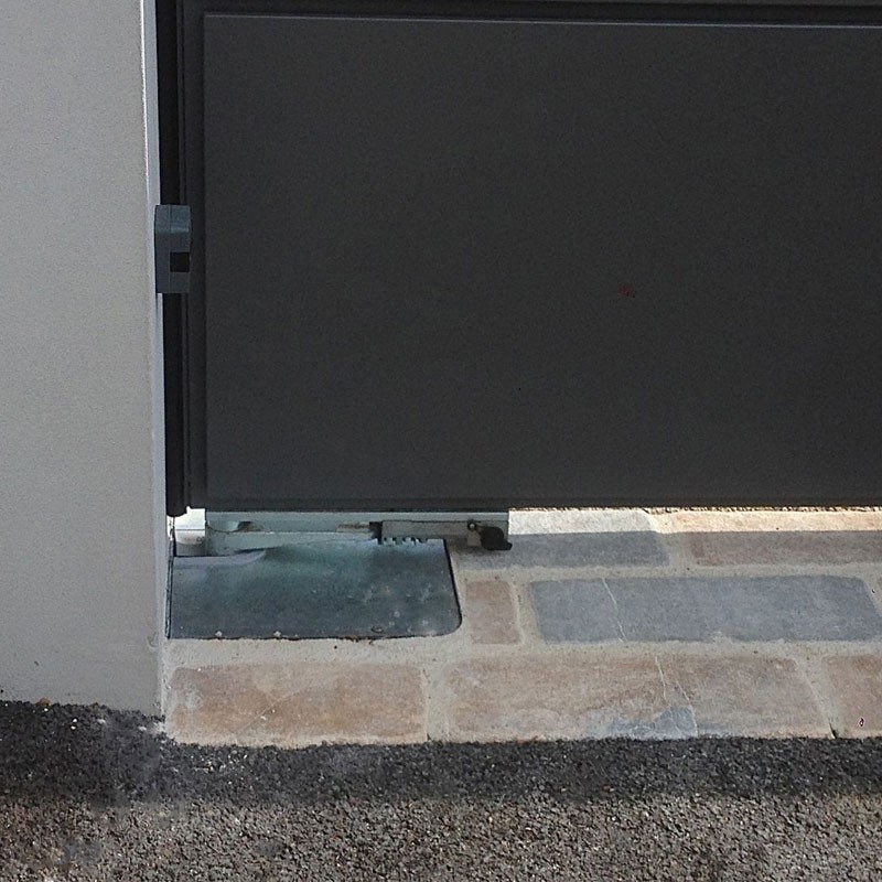 CAME FrogX-P Twin Kit - Choose the Perfect Kit for Your Swing Gates 8K01MI-0628