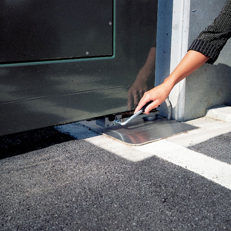 CAME FrogX-P Twin Kit - Choose the Perfect Kit for Your Swing Gates 8K01MI-0628