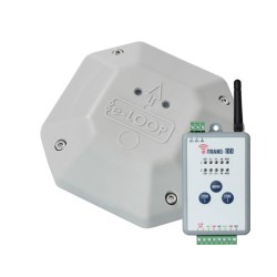 AES EL00M-RAD-KT Domestic E-Loop Kit with Trans-100 in Presence Mode